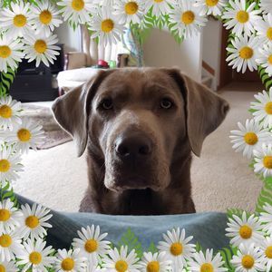 Meet your Posher, Thomas